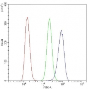 Flow cytometry testing of human A431 cells with Cytochrome C antibody at 1ug/10^6 cells (blocked with goat sera); Red=cells alone, Green=isotype control, Blue= Cytochrome C antibody.