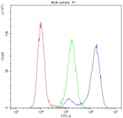 Flow cytometry testing of human K562 cells with Cytochrome C antibody at 1ug/10^6 cells (blocked with goat sera); Red=cells alone, Green=isotype control, Blue= Cytochrome C antibody.