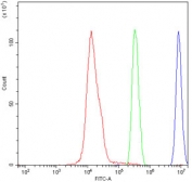 Flow cytometry testing of human SiHa cells with XPO1 antibody at 1ug/10^6 cells (blocked with goat sera); Red=cells alone, Green=isotype control, Blue= XPO1 antibody.