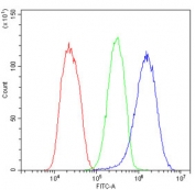 Flow cytometry testing of human HePG2 cells with TCP1 alpha antibody at 1ug/million cells (blocked with goat sera); Red=cells alone, Green=isotype control, Blue= TCP1 alpha antibody.