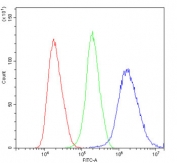 Flow cytometry testing of human PC3 cells with Stefin B antibody at 1ug/10^6 cells (blocked with goat sera); Red=cells alone, Green=isotype control, Blue= Stefin B antibody.