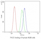 Flow cytometry testing of human A549 cells with CACNA2D2 antibody at 1ug/10^6 cells (blocked with goat sera); Red=cells alone, Green=isotype control, Blue= CACNA2D2 antibody.