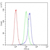 Flow cytometry testing of human A431 cells with Calbindin antibody at 1ug/million cells (blocked with goat sera); Red=cells alone, Green=isotype control, Blue= Calbindin antibody.