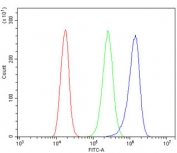 Flow cytometry testing of human A431 cells with CDH3 antibody at 1ug/million cells (blocked with goat sera); Red=cells alone, Green=isotype control, Blue= CDH3 antibody.