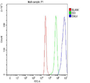 Flow cytometry testing of fixed and permeabilized human A549 cells with EML4 antibody at 1ug/million cells (blocked with goat sera); Red=cells alone, Green=isotype control, Blue= EML4 antibody.