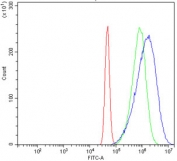 Flow cytometry testing of human A431 cells with NSE antibody at 1ug/million cells (blocked with goat sera); Red=cells alone, Green=isotype control, Blue= NSE antibody.