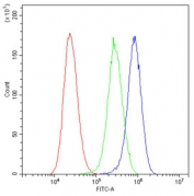 Flow cytometry testing of human U-2 OS cells with GM130 antibody at 1ug/10^6 cells (blocked with goat sera); Red=cells alone, Green=isotype control, Blue= GM130 antibody.