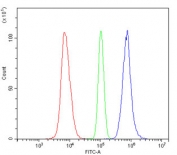 Flow cytometry testing of human Raji cells with HMGN2 antibody at 1ug/million cells (blocked with goat sera); Red=cells alone, Green=isotype control, Blue= HMGN2 antibody.