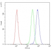 Flow cytometry testing of fixed and permeabilized human U-87 MG cells with NOVA1 antibody at 1ug/million cells (blocked with goat sera); Red=cells alone, Green=isotype control, Blue= NOVA1 antibody.