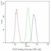 Flow cytometry testing of human U251 cells with RXFP2 antibody at 1ug/10^6 cells (blocked with goat sera); Red=cells alone, Green=isotype control, Blue= RXFP2 antibody.