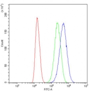 Flow cytometry testing of human U-87 MG cells with SNAP25 antibody at 1ug/million cells (blocked with goat sera); Red=cells alone, Green=isotype control, Blue= SNAP25 antibody.