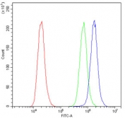 Flow cytometry testing of human A431 cells with TANK antibody at 1ug/10^6 cells (blocked with goat sera); Red=cells alone, Green=isotype control, Blue= TANK antibody.