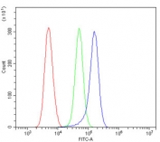 Flow cytometry testing of human ThP-1 cells with TRPM7 antibody at 1ug/million cells (blocked with goat sera); Red=cells alone, Green=isotype control, Blue= TRPM7 antibody.