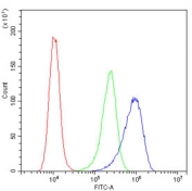 Flow cytometry testing of human A431 cells with B2M antibody at 1ug/million cells (blocked with goat sera); Red=cells alone, Green=isotype control, Blue= B2M antibody.