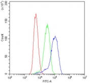 Flow cytometry testing of human ThP-1 cells with CD272 antibody at 1ug/10^6 cells (blocked with goat sera); Red=cells alone, Green=isotype control, Blue= CD272 antibody.