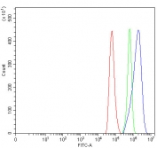 Flow cytometry testing of fixed and permeabilized human HeLa cells with COL3A1 antibody at 1ug/million cells (blocked with goat sera); Red=cells alone, Green=isotype control, Blue= COL3A1 antibody.