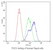 Flow cytometry testing of human Daudi cells with CD229 antibody at 1ug/10^6 cells (blocked with goat sera); Red=cells alone, Green=isotype control, Blue= CD229 antibody.