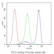 Flow cytometry testing of human Jurkat cells with CD229 antibody at 1ug/10^6 cells (blocked with goat sera); Red=cells alone, Green=isotype control, Blue= CD229 antibody.