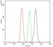 Flow cytometry testing of human U-87 MG cells with PCDH15 antibody at 1ug/10^6 cells (blocked with goat sera); Red=cells alone, Green=isotype control, Blue= PCDH15 antibody.