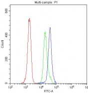 Flow cytometry testing of human PBM with uPAR antibody at 1ug/10^6 cells (blocked with goat sera); Red=cells alone, Green=isotype control, Blue= uPAR antibody.