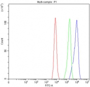 Flow cytometry testing of fixed human Caco-2 cells with Sucrase Isomaltase antibody at 1ug/million cells (blocked with goat sera); Red=cells alone, Green=isotype control, Blue= Sucrase Isomaltase antibody.