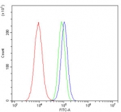 Flow cytometry testing of human A549 cells with KCNH1 antibody at 1ug/million cells (blocked with goat sera); Red=cells alone, Green=isotype control, Blue= KCNH1 antibody.