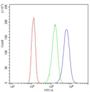 Flow cytometry testing of human A431 cells with RP2 antibody at 1ug/million cells (blocked with goat sera); Red=cells alone, Green=isotype control, Blue= RP2 antibody.