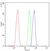 Flow cytometry testing of human ThP-1 cells with RP2 antibody at 1ug/million cells (blocked with goat sera); Red=cells alone, Green=isotype control, Blue= RP2 antibody.