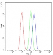 Flow cytometry testing of human A549 cells with Cystatin C antibody at 1ug/million cells (blocked with goat sera); Red=cells alone, Green=isotype control, Blue= Cystatin C antibody.
