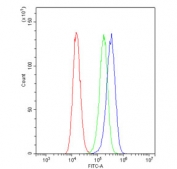 Flow cytometry testing of human A431 cells with RAB5A antibody at 1ug/million cells (blocked with goat sera); Red=cells alone, Green=isotype control, Blue= RAB5A antibody.