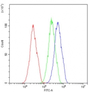 Flow cytometry testing of human HepG2 cells with Caspase 3 antibody at 1ug/million cells (blocked with goat sera); Red=cells alone, Green=isotype control, Blue= Caspase 3 antibody.