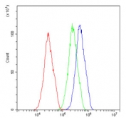 Flow cytometry testing of human HepG2 cells with Caspase 3 antibody at 1ug/million cells (blocked with goat sera); Red=cells alone, Green=isotype control, Blue= Caspase 3 antibody.