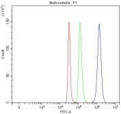 Flow cytometry testing of fixed and permeabilized human SH-SY5Y cells with BAG6 antibody at 1ug/10^6 cells (blocked with goat sera); Red=cells alone, Green=isotype control, Blue= BAG6 antibody.