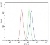 Flow cytometry testing of human HepG2 cells with IQGAP1 antibody at 1ug/million cells (blocked with goat sera); Red=cells alone, Green=isotype control, Blue= IQGAP1 antibody.