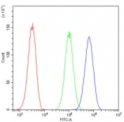 Flow cytometry testing of human U-2 OS cells with NFIA antibody at 1ug/million cells (blocked with goat sera); Red=cells alone, Green=isotype control, Blue= NFIA antibody.