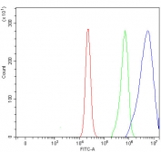 Flow cytometry testing of fixed and permeabilized human RT4 cells with DOK7 antibody at 1ug/million cells (blocked with goat sera); Red=cells alone, Green=isotype control, Blue= DOK7 antibody.