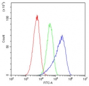 Flow cytometry testing of human A549 cells with HECTD3 antibody at 1ug/10^6 cells (blocked with goat sera); Red=cells alone, Green=isotype control, Blue= HECTD3 antibody.