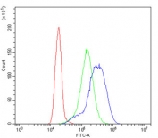 Flow cytometry testing of human K562 cells with DARS2 antibody at 1ug/million cells (blocked with goat sera); Red=cells alone, Green=isotype control, Blue= DARS2 antibody.