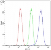 Flow cytometry testing of human U-87 MG cells with HOOK3 antibody at 1ug/10^6 cells (blocked with goat sera); Red=cells alone, Green=isotype control, Blue= HOOK3 antibody.