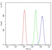 Flow cytometry testing of human U-2 OS cells with SCN4B antibody at 1ug/million cells (blocked with goat sera); Red=cells alone, Green=isotype control, Blue= SCN4B antibody.