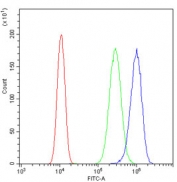 Flow cytometry testing of human SiHa cells with SCN4B antibody at 1ug/million cells (blocked with goat sera); Red=cells alone, Green=isotype control, Blue= SCN4B antibody.