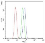 Flow cytometry testing of human SiHa cells with MR1 antibody at 1ug/10^6 cells (blocked with goat sera); Red=cells alone, Green=isotype control, Blue= MR1 antibody.