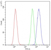 Flow cytometry testing of human U-2 OS cells with RMI2 antibody at 1ug/10^6 cells (blocked with goat sera); Red=cells alone, Green=isotype control, Blue= RMI2 antibody.