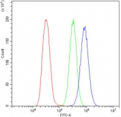 Flow cytometry testing of human U-2 OS cells with HOOK2 antibody at 1ug/10^6 cells (blocked with goat sera); Red=cells alone, Green=isotype control, Blue= HOOK2 antibody.