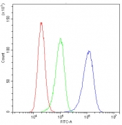 Flow cytometry testing of human A431 cells with TIMM17A antibody at 1ug/10^6 cells (blocked with goat sera); Red=cells alone, Green=isotype control, Blue= TIMM17A antibody.