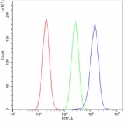 Flow cytometry testing of human A549 cells with SRCIN1 antibody at 1ug/10^6 cells (blocked with goat sera); Red=cells alone, Green=isotype control, Blue= SRCIN1 antibody.