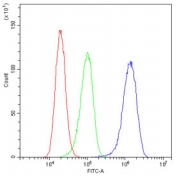 Flow cytometry testing of human A431 cells with PPCS antibody at 1ug/10^6 cells (blocked with goat sera); Red=cells alone, Green=isotype control, Blue= PPCS antibody.