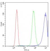 Flow cytometry testing of human PC-3 cells with ATP5MC1/2/3 antibody at 1ug/million cells (blocked with goat sera); Red=cells alone, Green=isotype control, Blue= ATP5MC1/2/3 antibody.