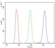 Flow cytometry testing of human HL-60 cells with ATP5MC1/2/3 antibody at 1ug/million cells (blocked with goat sera); Red=cells alone, Green=isotype control, Blue= ATP5MC1/2/3 antibody.