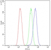 Flow cytometry testing of human U-87 MG cells with EHD1 antibody at 1ug/10^6 cells (blocked with goat sera); Red=cells alone, Green=isotype control, Blue= EHD1 antibody.